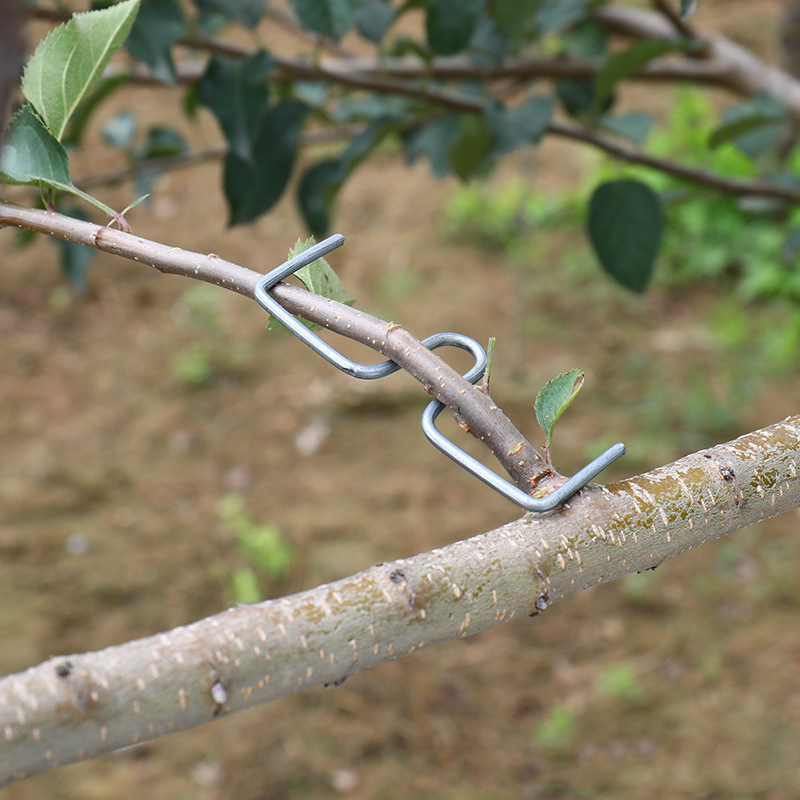 Fruit Roll Up - 30pcs/set Fruit Tree Branch Puller Hook
