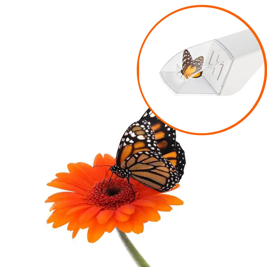 Fly Trap Insect Catcher Moth F - Fruit Roll Up avaliação e preço