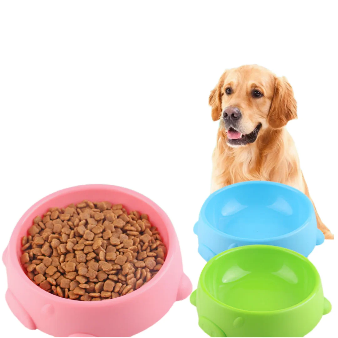 Dog Bowls for Food and Water P - Spicy Food Snacks avaliação e preço