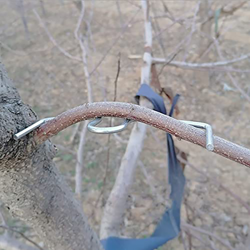 30pcs/set Fruit Tree Branch Pu - Fruit Roll Up avaliação e preço