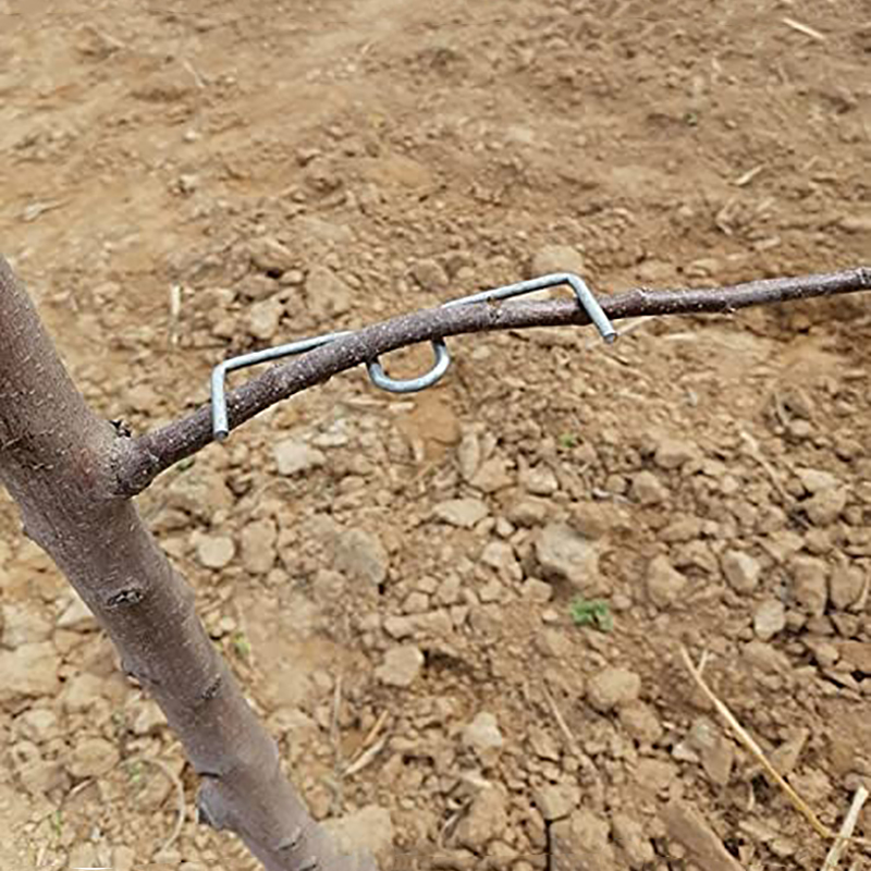 30pcs/set Fruit Tree Branch Pu - Fruit Roll Up avaliação e preço