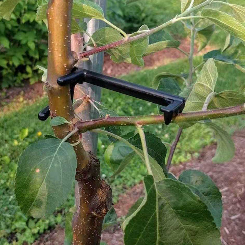 Fruit Tree Branch Puller Plant - Fruit Roll Up avaliação e preço