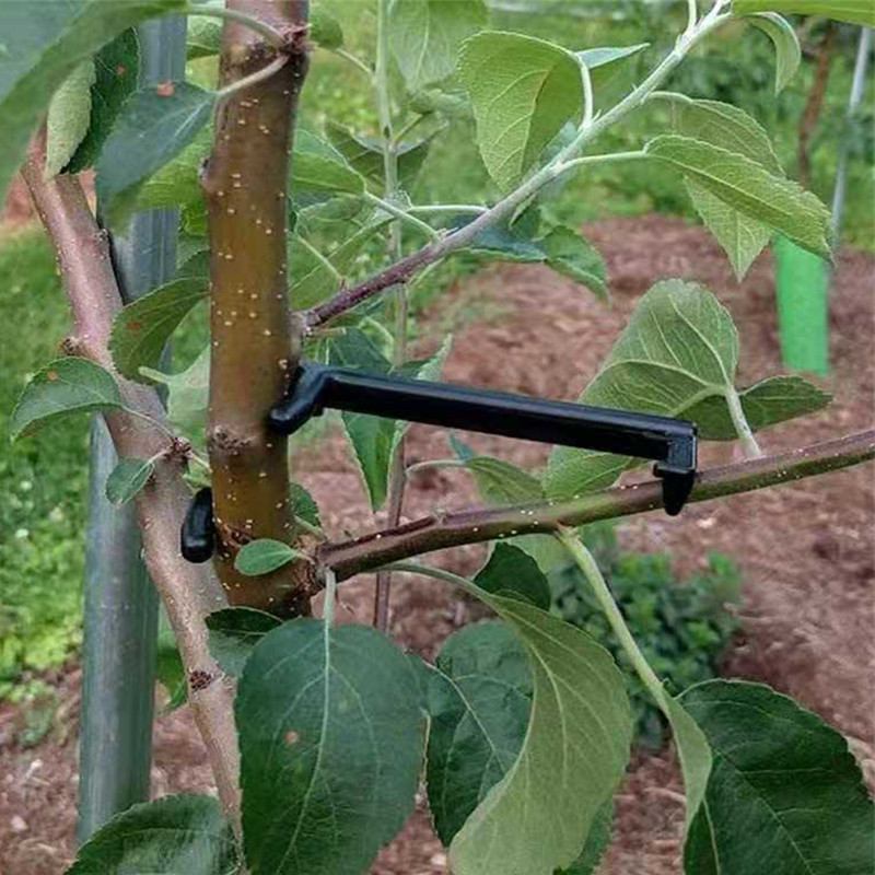 Fruit Tree Branch Puller Plant - Fruit Roll Up avaliação e preço