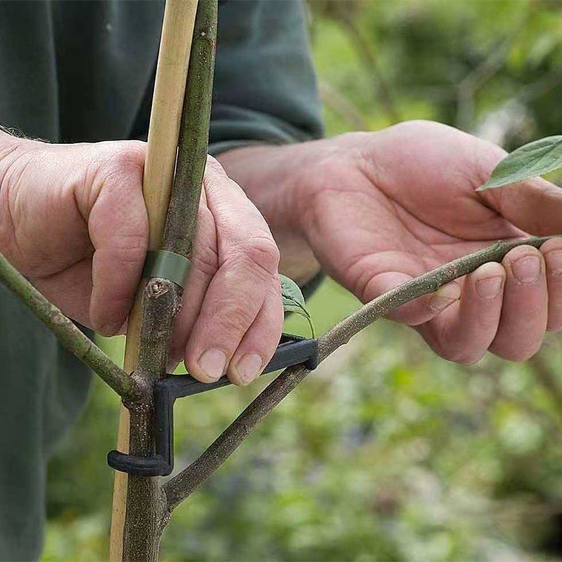 Fruit Tree Branch Puller Plant - Fruit Roll Up avaliação e preço