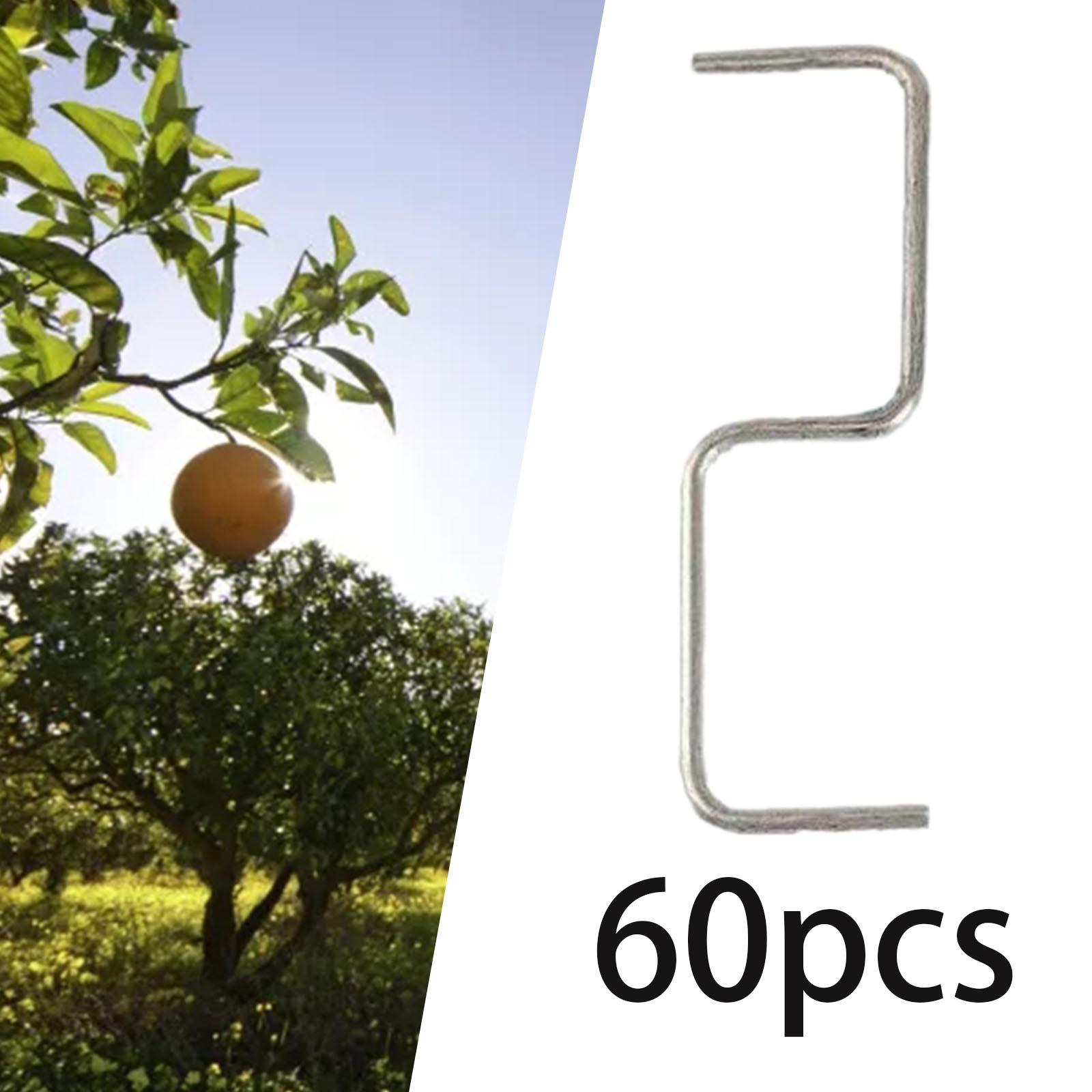 60 Pieces Fruit Tree Branch Pu - Fruit Roll Up avaliação e preço